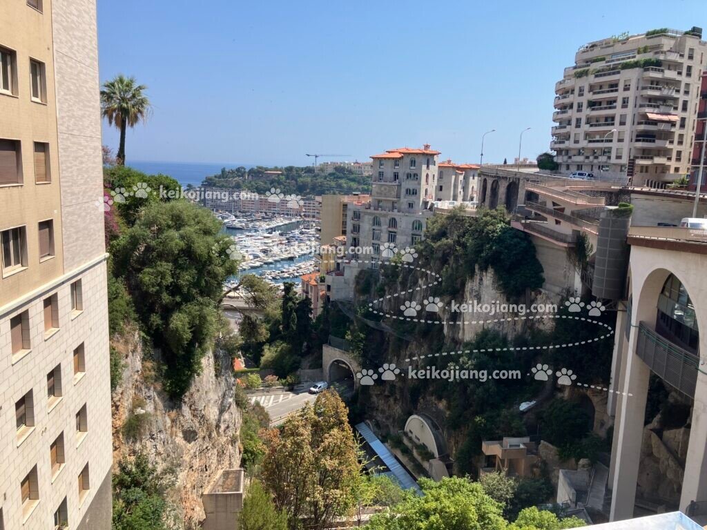 摩納哥（Monaco）怎麼去？｜飛機、火車、巴士完整交通攻略