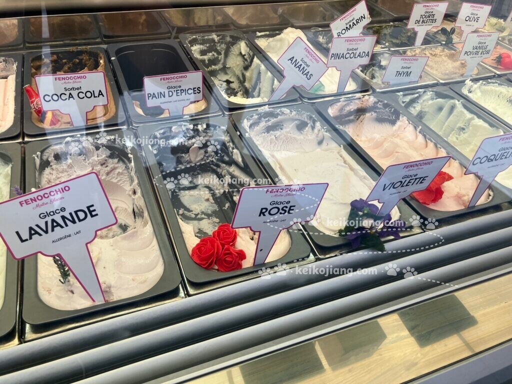 Fenocchio｜尼斯舊城區超人氣霜淇淋店，百種口味怎麼選？