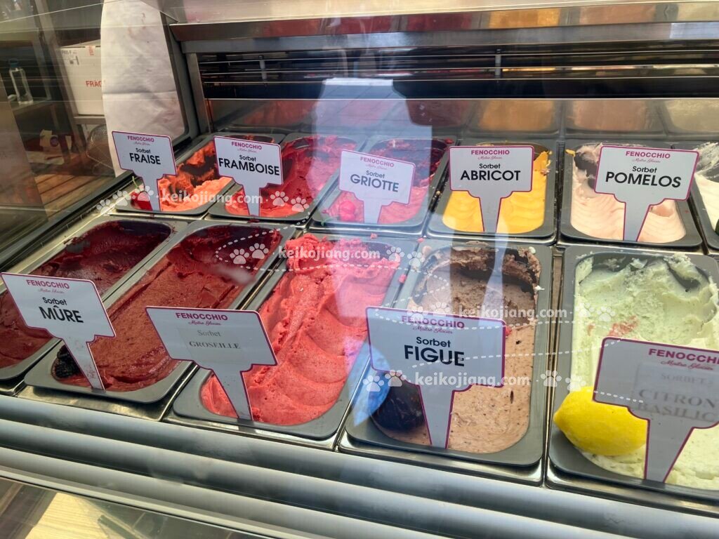 Fenocchio｜尼斯舊城區超人氣霜淇淋店，百種口味怎麼選？