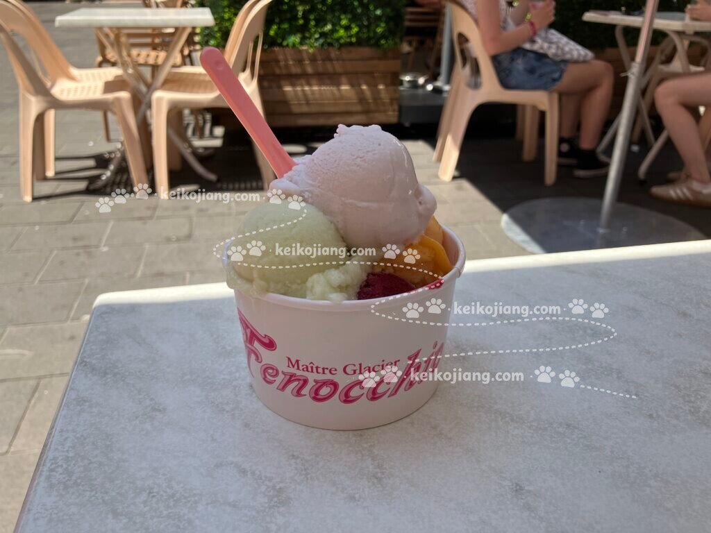 Fenocchio｜尼斯舊城區超人氣霜淇淋店，百種口味怎麼選？