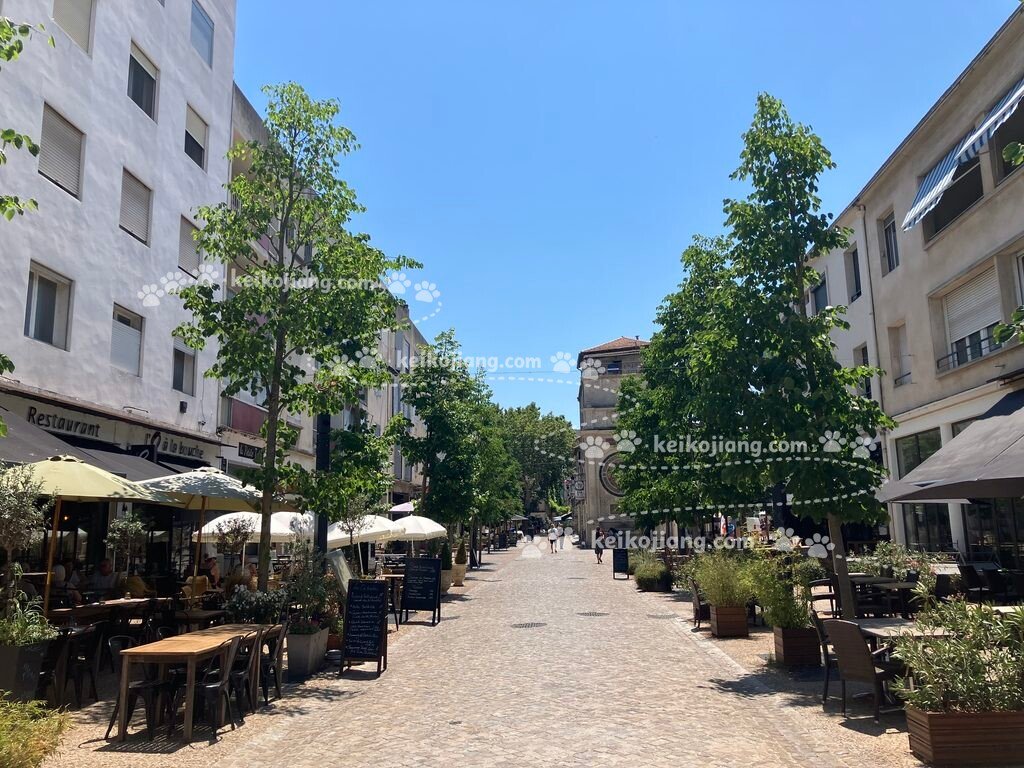 KEIKO醬陪你逛亞爾(Arles)｜交通、景點、美食、購物的自由行攻略